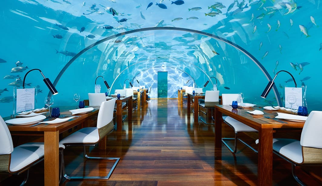 ithaa-undersea-restaurant-1749127253.jpeg