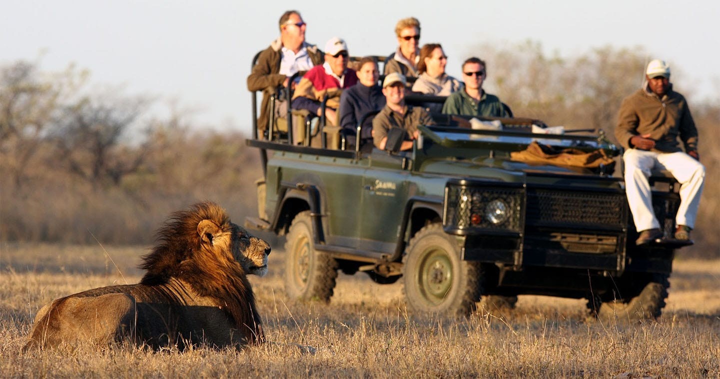 safari-game-drive-savanna-lodge-sabi-sands-1760861506.jpg