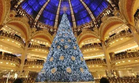 Chiêm ngưỡng cây thông 11 triệu USD ởAbu Dhabi: Sau 15 năm vẫn giữ kỷ lục đắt nhất thế giới