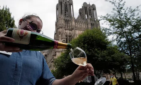 Ngành sản xuất Champagne: Khi vẻ hào nhoáng che giấu cuộc khủng hoảng thầm lặng