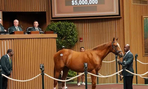 Từ đấu trường cưỡi ngựa đến ngựa đua: Niềm đam mê xa hoa của giới tài phiệt Mỹ