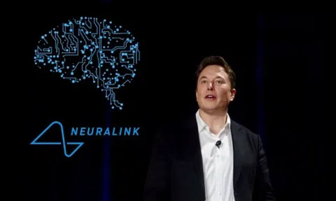 Giới khoa học phát bực với giấc mơ “tải não lên máy tính” của các tỷ phú công nghệ