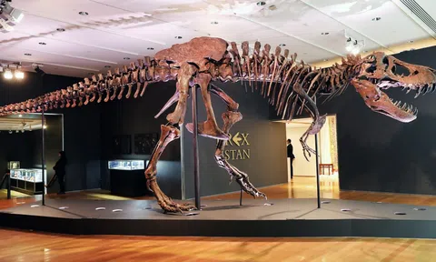 Sưu tầm hóa thạch khủng long - đam mê xa xỉ mới của giới tỷ phú