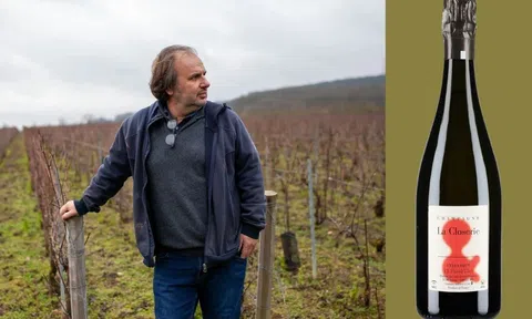 Champagne thủ công: Sự khác biệt tinh tế so với những “ông lớn” truyền thống trong thế giới rượu cao cấp