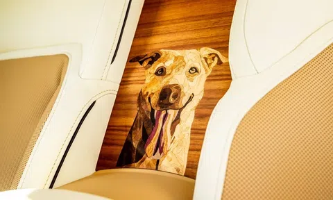 Chú chó truyền cảm hứng để Rolls-Royce tạo ra siêu phẩm Spectre Bailey độc nhất thế giới
