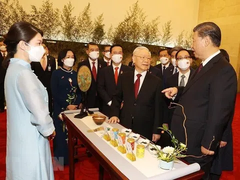 Kinh ngạc trà Đại hồng bào 30 tỷ/kg của Trung Quốc trên bàn tiệc Tổng Bí thư Tập Cận Bình mời Tổng Bí thư Nguyễn Phú Trọng