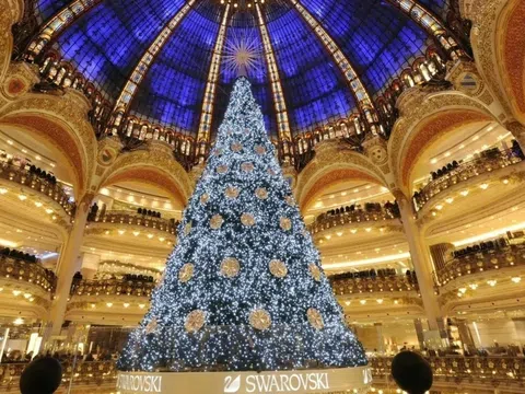 Chiêm ngưỡng cây thông 11 triệu USD ởAbu Dhabi: Sau 15 năm vẫn giữ kỷ lục đắt nhất thế giới