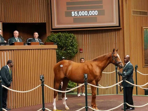 Từ đấu trường cưỡi ngựa đến ngựa đua: Niềm đam mê xa hoa của giới tài phiệt Mỹ