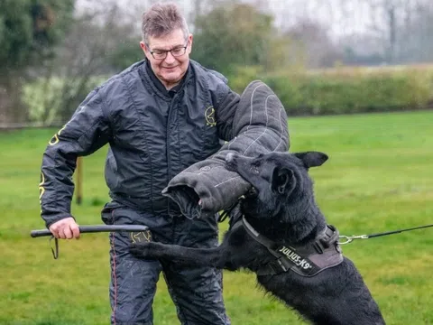 Giới thượng lưu Anh chi hàng chục nghìn bảng để sở hữu những chú chó bảo vệ tinh nhuệ