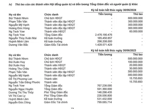 Lãnh đạo các công ty bất động sản nhận lương bao nhiêu trong nửa đầu năm 2024?