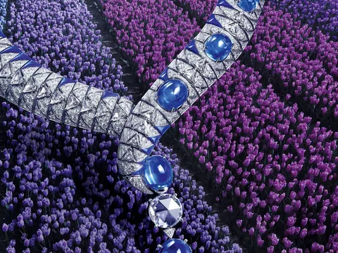 Vì sao biểu tượng loài rắn lại xuất hiện trên những món đồ trang sức xa xỉ từ Cartier, Tiffany&Co đến Bvlgari?