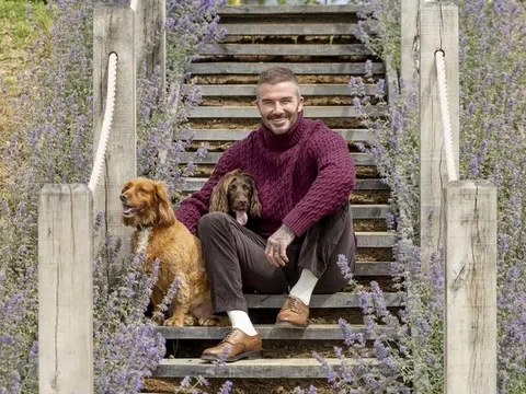 Beckham khoe cuộc sống bình dị nơi đồng quê